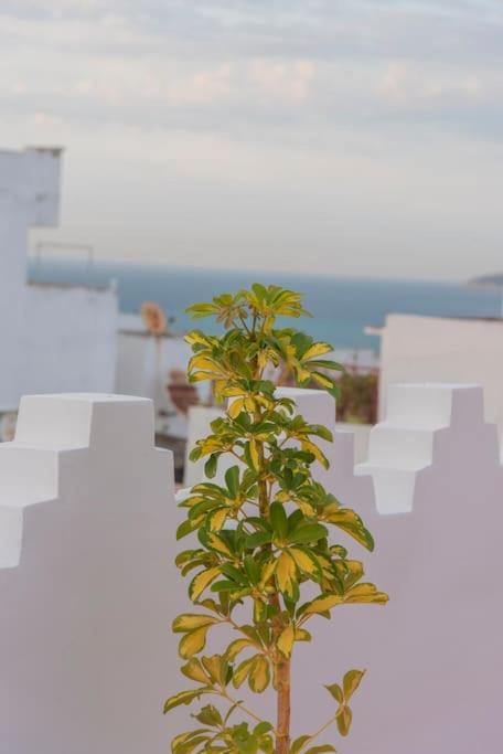 Dar Louban House In Tangier Kasbah Apartment Exterior foto